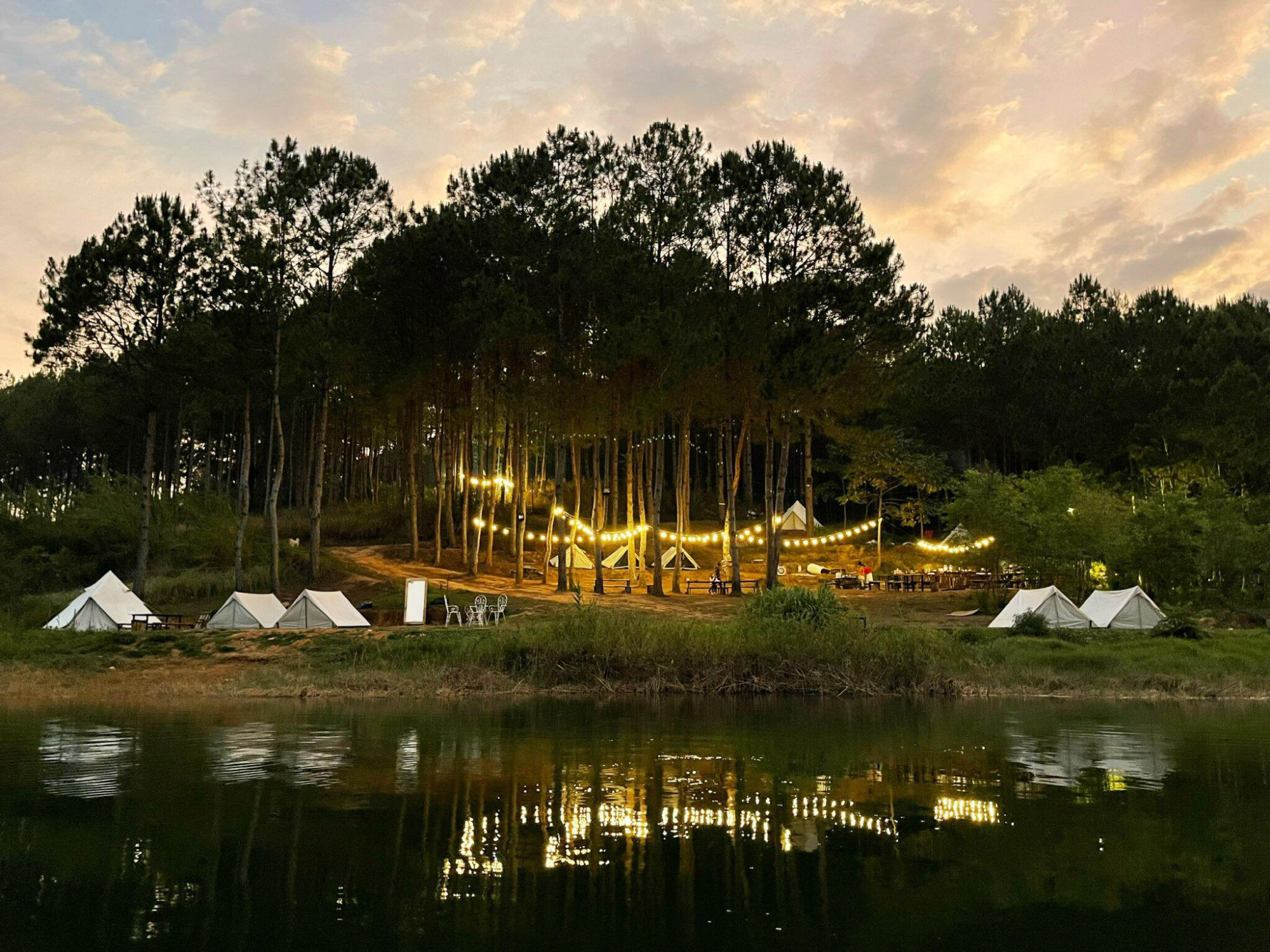 PineForest Camping Đà Lạt